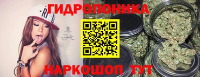 мяу мяу мука Гусиноозёрск