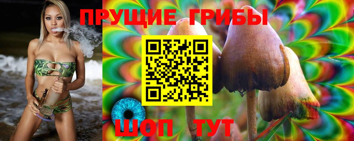 Новороссийск  Галлюциногенные грибы Psilocybine cubensis  Вход с VPN  Галлюциногенные грибы мицелий 